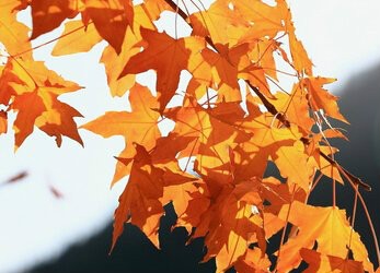 河北廚師培訓(xùn)學(xué)校：十月份養(yǎng)生注意事項(xiàng)