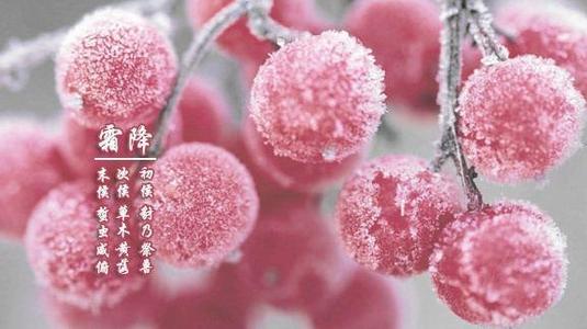 小吃培訓(xùn)：霜降，最后的秋