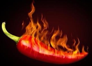 小吃培訓(xùn)：學(xué)校飲食健康篇---無辣不歡