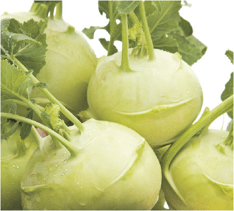 小吃培訓(xùn)：學(xué)校食物檔案系列之苤藍(lán)