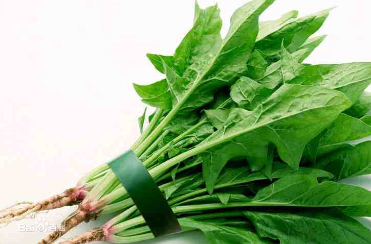 小吃培訓(xùn)：學(xué)校食物檔案系列之菠菜