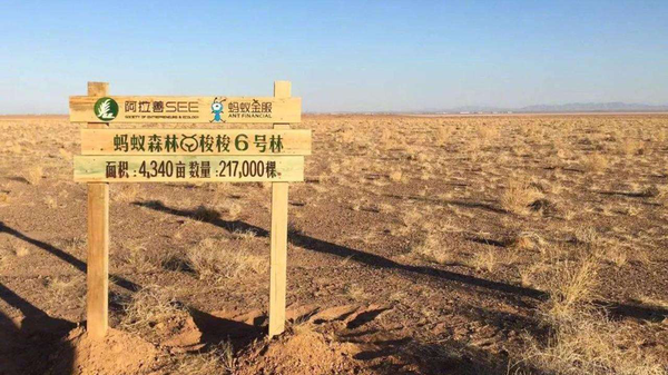 小吃培訓(xùn)：植樹節(jié)， e起植樹去