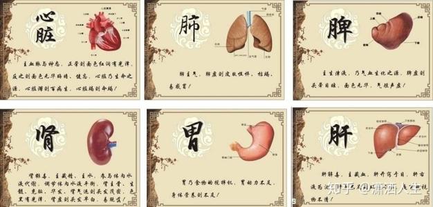 石家莊飲食集團(tuán)技工學(xué)校：滋養(yǎng)五臟，應(yīng)該分著吃