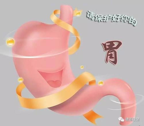 石家莊市飲食集團(tuán)技工學(xué)校：合理養(yǎng)胃  守胃健康