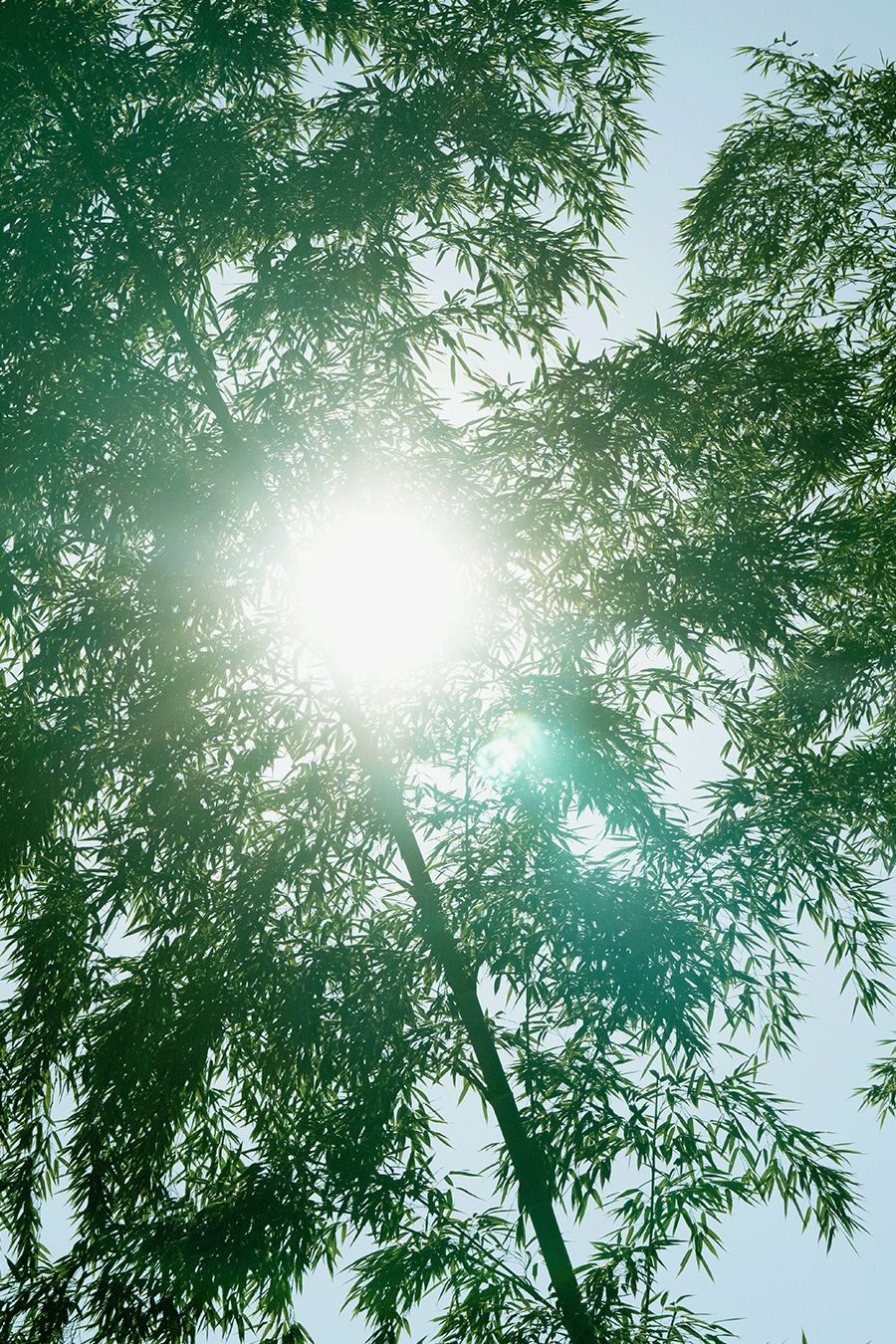 加長版三伏天來襲，請與它和平相處