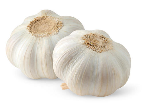 2-200130110645606.jpg 2-200130110645606.jpg