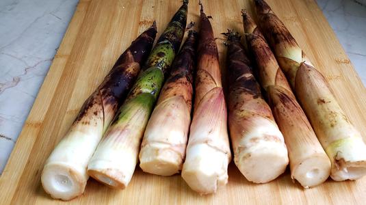 小吃培訓(xùn)：春季養(yǎng)生小手冊(cè)